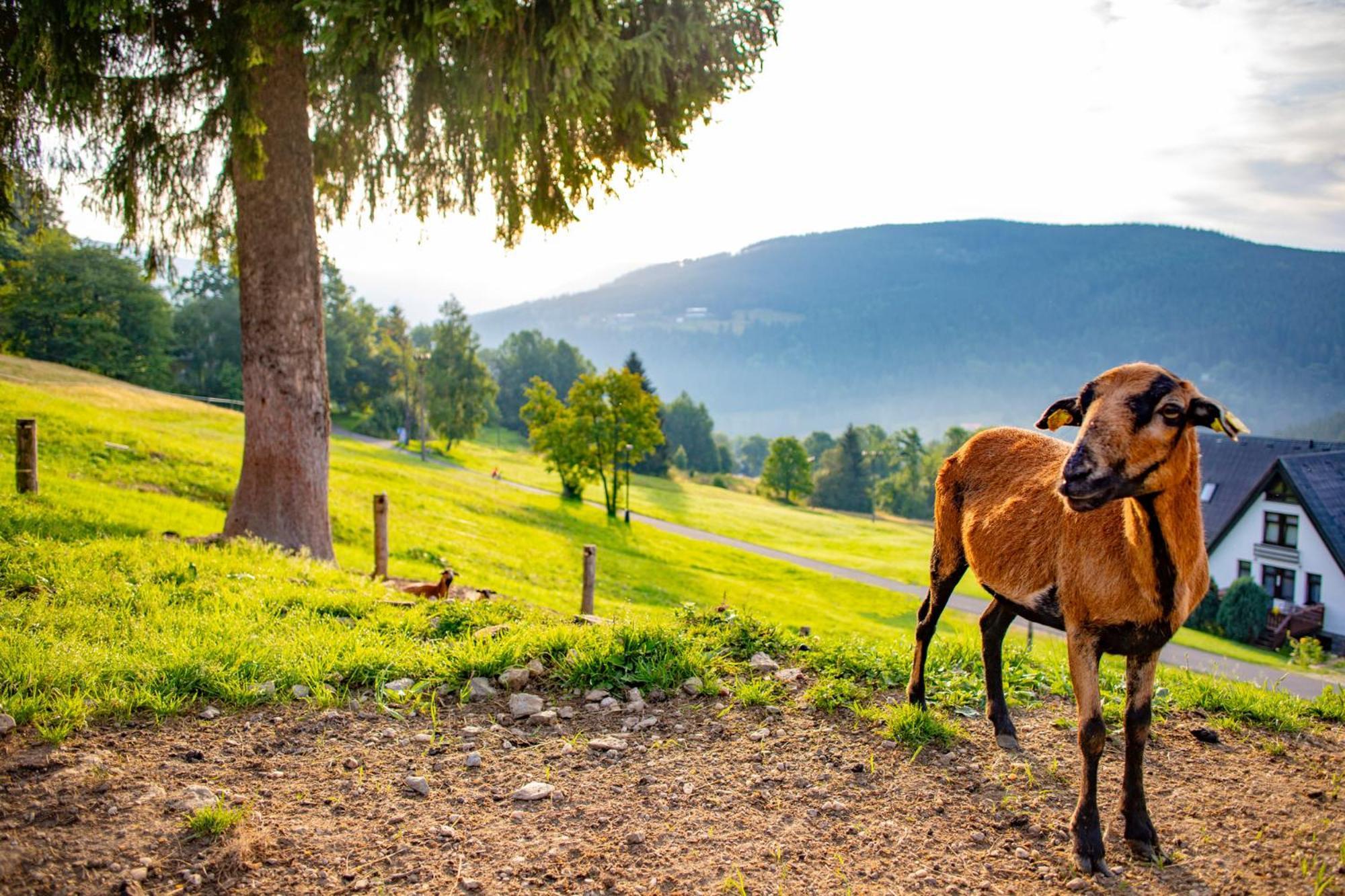 Amenity Hotel & Resort Špindlerŭv Mlýn Eksteriør billede
