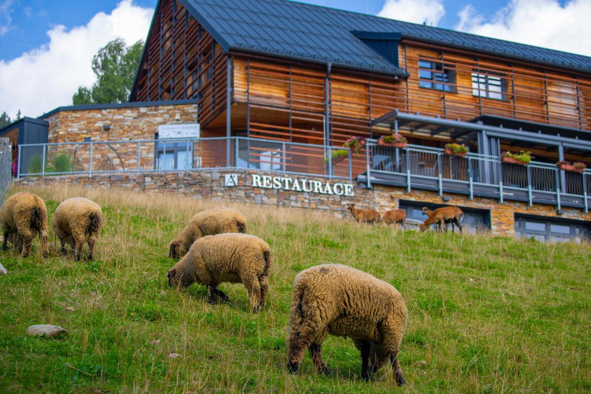 Amenity Hotel & Resort Špindlerŭv Mlýn Eksteriør billede
